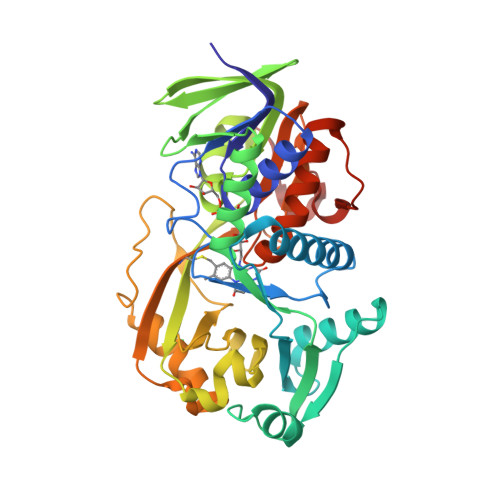 RCSB PDB - 2A89: Monomeric Sarcosine Oxidase: Structure of a 