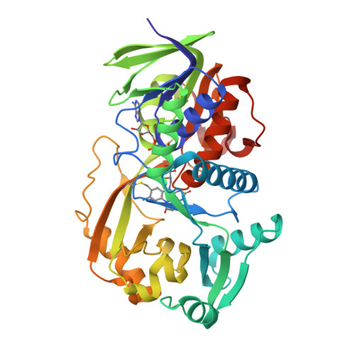 RCSB PDB - 2A89: Monomeric Sarcosine Oxidase: Structure of a 