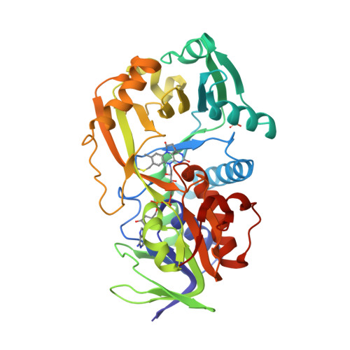RCSB PDB - 2A89: Monomeric Sarcosine Oxidase: Structure of a 