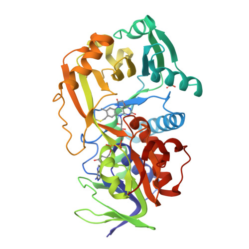 RCSB PDB - 2A89: Monomeric Sarcosine Oxidase: Structure of a 