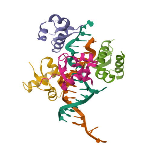 RCSB PDB - 2ACJ: Crystal Structure Of The B/Z Junction Containing DNA ...