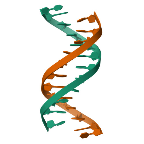 RCSB PDB - 2AF1: Structure of the DNA coiled-coil formed by d(CGATATATATAT)