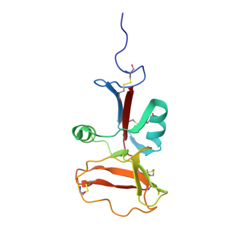 RCSB PDB - 2AFP: THE SOLUTION STRUCTURE OF TYPE II ANTIFREEZE PROTEIN ...