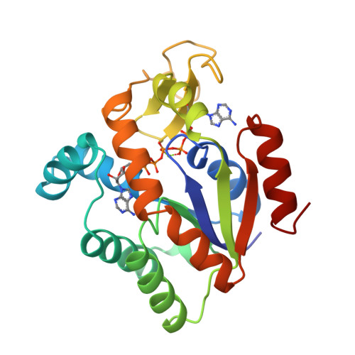 RCSB PDB - 2AKY: HIGH-RESOLUTION STRUCTURES OF ADENYLATE KINASE FROM ...