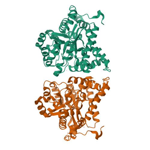 RCSB PDB - 2AMX: Crystal structure of Plasmodium Yoelii Adenosine ...