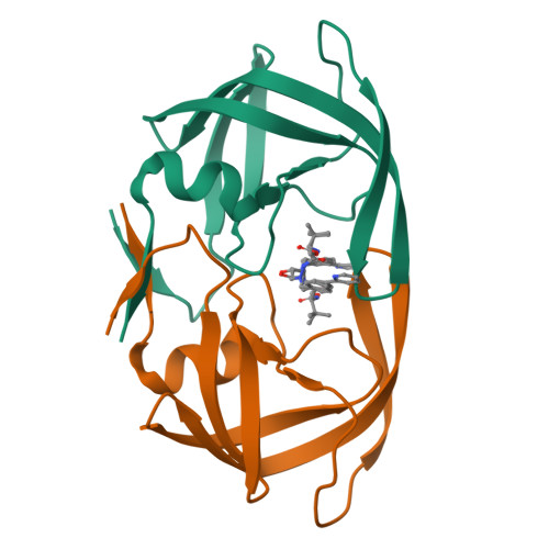 RCSB PDB - 2AQU: Structure of HIV-1 protease bound to atazanavir