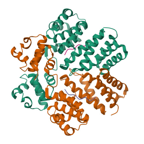 Rcsb Pdb Aw Structure Of A Bacterial Peptide Pheromone Receptor Complex And Its Mechanism