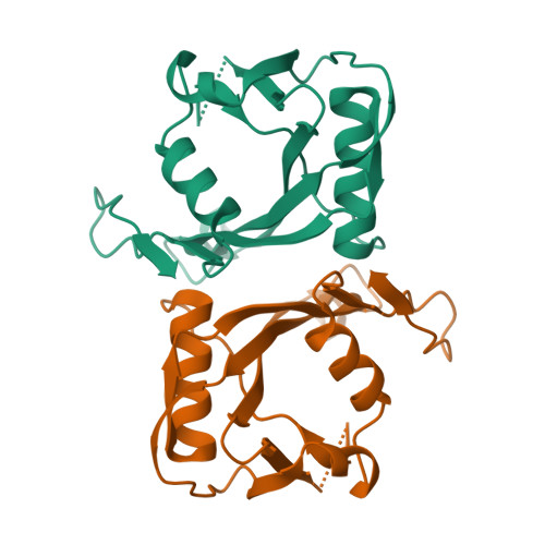Mutt Structures RCSB PDB - 2B06: Crystal structure of the MutT/nudix family protein ...