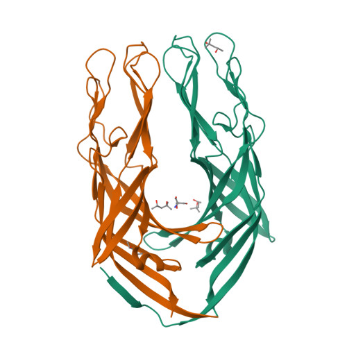 RCSB PDB - 2B4H: Crystal Structure of the Rhesus Rotavirus VP5 Antigen ...