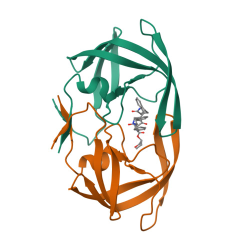 RCSB PDB - 2BBB: Structure of HIV1 protease and hh1_173_3a complex.