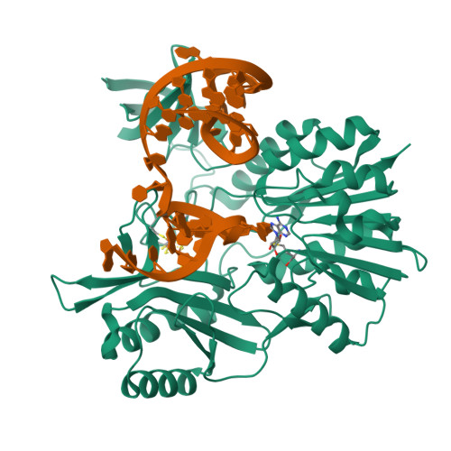 RCSB PDB - 2BH2: Crystal Structure of E. coli 5-methyluridine ...