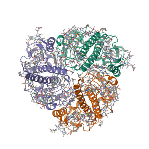 ルームウェア/パジャマRCSB PDB - 2BHW: PEA LIGHT-HARVESTING COMPLEX II AT 2.5 ANGSTROM ...