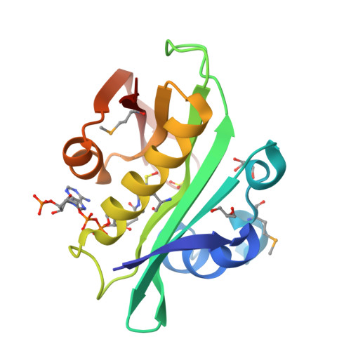 RCSB PDB - 2BSW: Crystal structure of a glyphosate-N-acetyltransferase ...