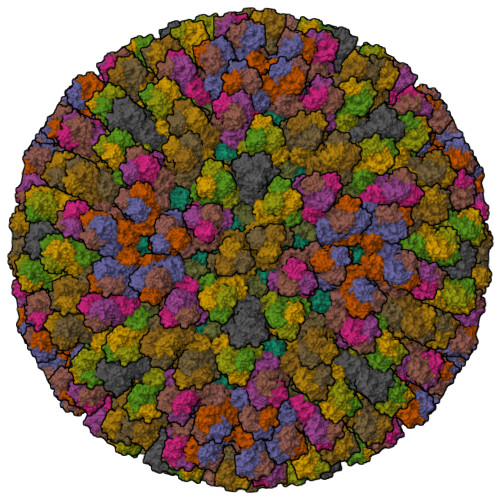 Rcsb Pdb 2btv Atomic Model For Bluetongue Virus Btv Core