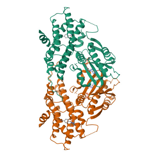 RCSB PDB - 2BU2: Crystal Structures Of Human Pyruvate Dehydrogenase ...