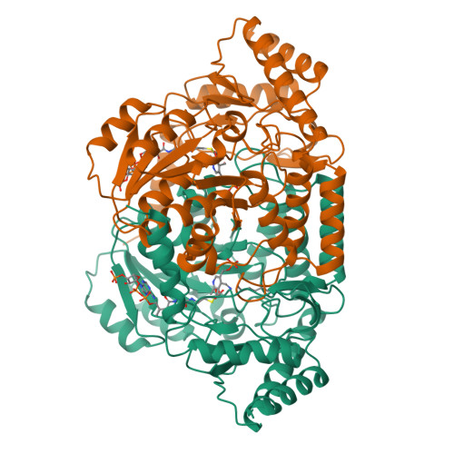 RCSB PDB - 2BWO: 5-Aminolevulinate Synthase from Rhodobacter capsulatus ...