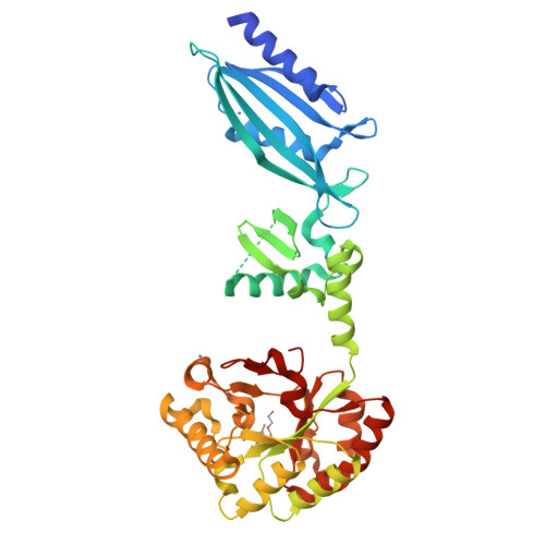 Peptidoglycan-N-acetylglucosamine deacetylase structure