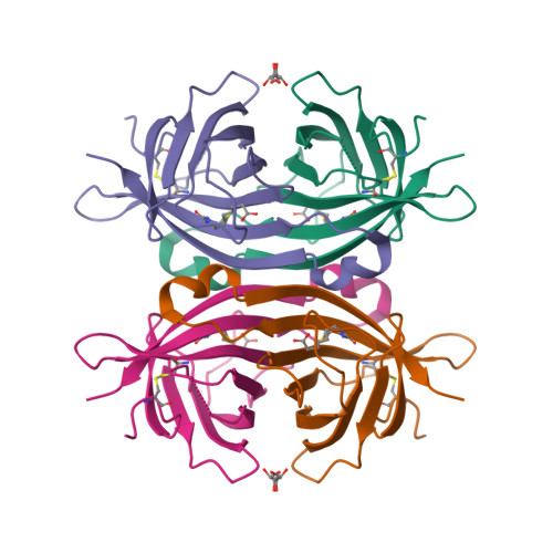 RCSB PDB - 2C1Q: X-ray structure of biotin binding protein from chicken