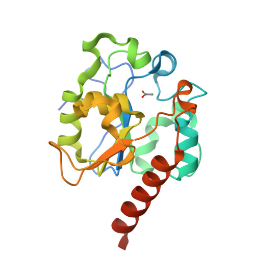 Molecular repertoire of Deinococcus radiodurans after 1 year of