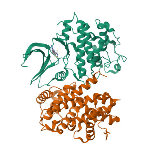 RCSB PDB - 2C5O: Differential Binding Of Inhibitors To Active And 