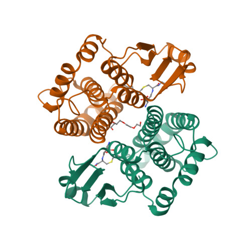 hexyl glutathione RCSB PDB