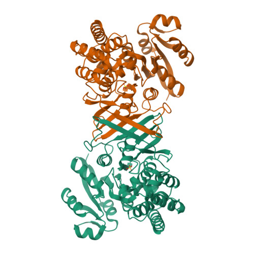 1-deoxy-D-xylulose 5-phosphate reductoisomerase structure