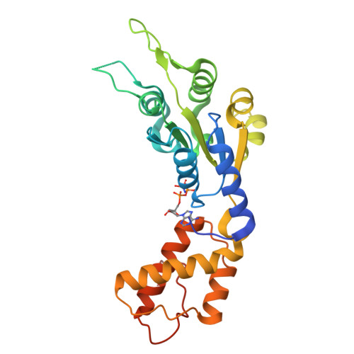 Rcsb Pdb C Structural Basis Of The Nucleotide Driven