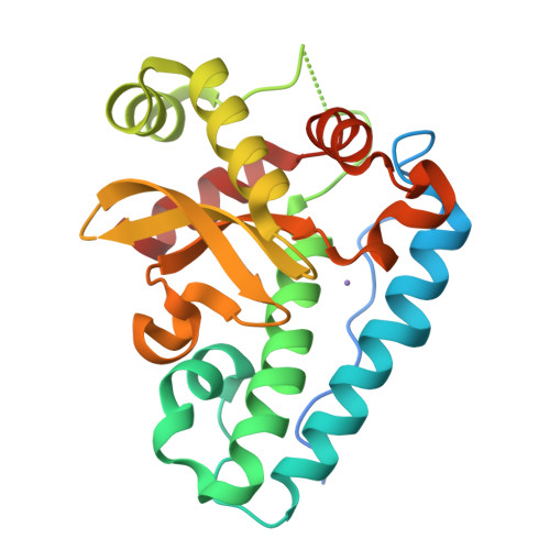 superoxide dismutase structure