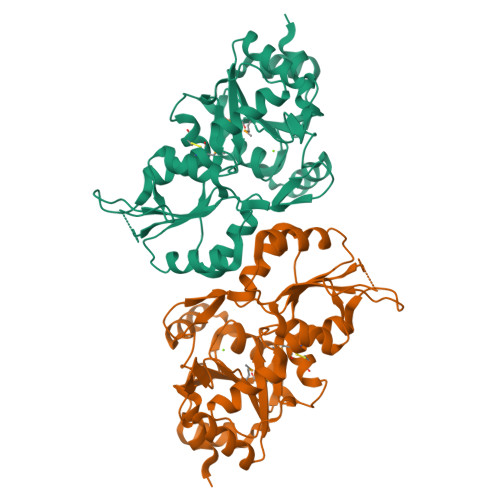 Chronophin structure
