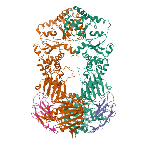 RCSB PDB - 2CG9: Crystal structure of an Hsp90-Sba1 closed chaperone ...