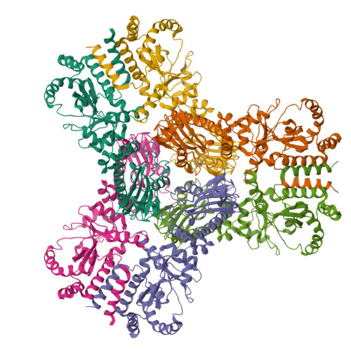 RCSB PDB - 2CGE: Crystal structure of an Hsp90-Sba1 closed chaperone ...