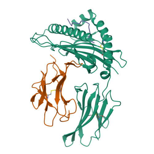 PDB 2CLR