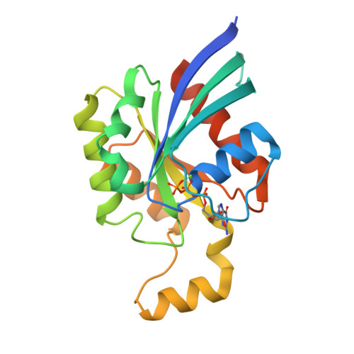 RCSB PDB - 2CLS: The crystal structure of the human RND1 GTPase in the ...