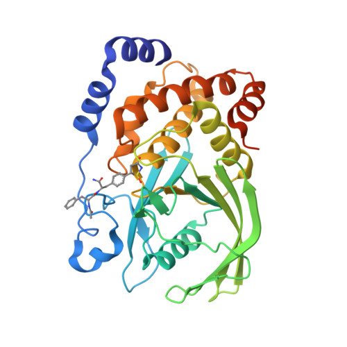 Rcsb Pdb Cm Structural Basis For Inhibition Of Protein Tyrosine