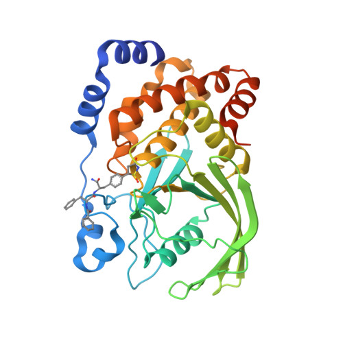 Rcsb Pdb Cma Structural Basis For Inhibition Of Protein Tyrosine