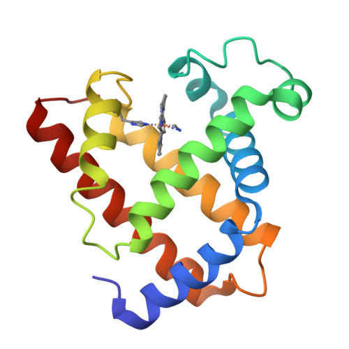 RCSB PDB - 2CMM: STRUCTURAL ANALYSIS OF THE MYOGLOBIN RECONSTITUTED ...