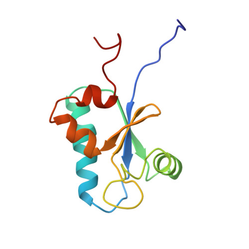 Rcsb Pdb 2ct6 Solution Structure Of The Sh3 Domain Binding Glutamic Acid Rich Like Protein 2 3144