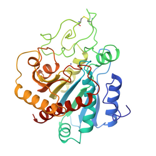 Rcsb Pdb Ctb The High Resolution Crystal Structure Of The Complex