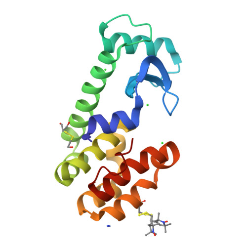 RCSB PDB - 2CUU: Crystal structure of spin labeled T4 Lysozyme (V131R1)