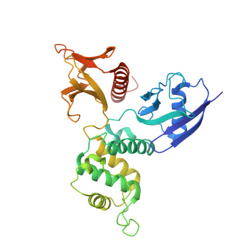 RCSB PDB - 2D2Q: Crystal structure of the dimerized radixin FERM domain