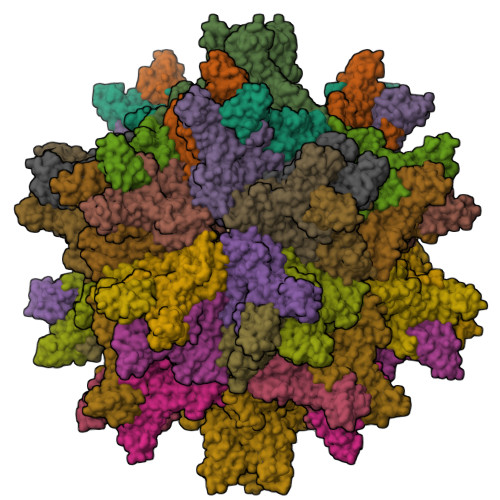 Rcsb Pdb 2df7 Crystal Structure Of Infectious Bursal Disease Virus