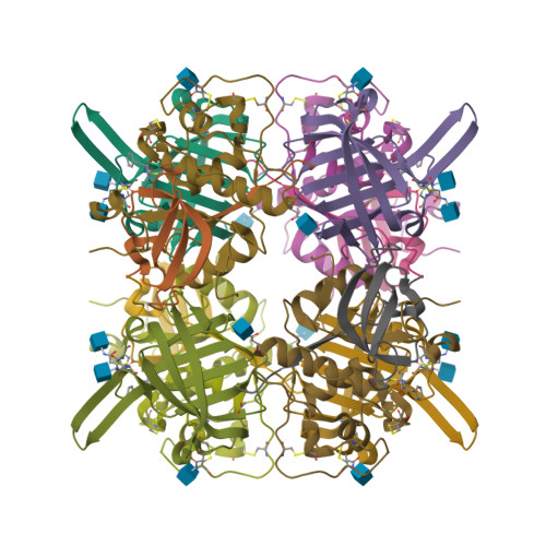 RCSB PDB - 2DJF: Crystal Structure of human dipeptidyl peptidase I ...