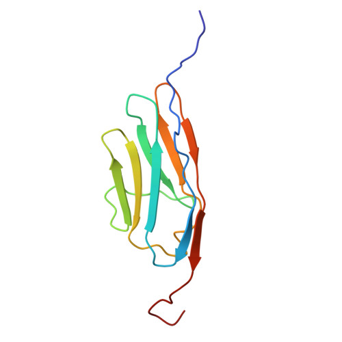 PDB 2DM2