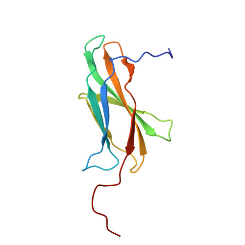 PDB 2DM4