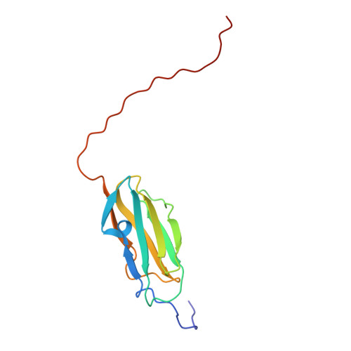 RCSB PDB - 2DMB: Solution structure of the 15th Filamin domain from ...