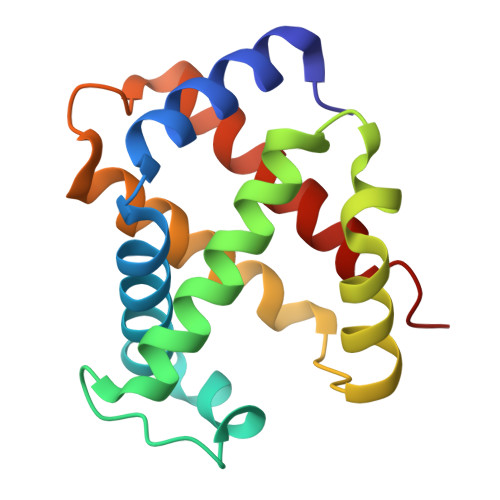 RCSB PDB - 2DN2: 1.25A resolution crystal structure of human hemoglobin ...