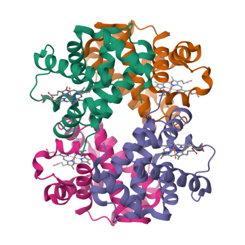 RCSB PDB - 2DN3: 1.25A resolution crystal structure of human hemoglobin in  the carbonmonoxy form