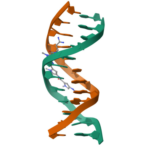 RCSB PDB - 2DND: A BIFURCATED HYDROGEN-BONDED CONFORMATION IN THE D(A.T)  BASE PAIRS OF THE DNA DODECAMER D(CGCAAATTTGCG) AND ITS COMPLEX WITH  DISTAMYCIN