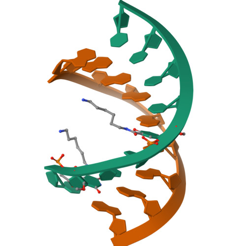 Rcsb Pdb Dqp Structural Analyses Of Dna Dna And Rna Dna Duplexes Containing N Aminohexyl