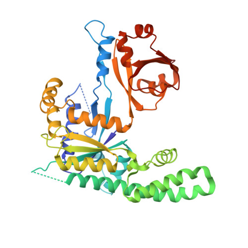 RCSB PDB - 2DWQ: Thermus thermophilus YchF GTP-binding protein